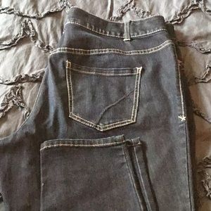 Lane Bryant Genius Fit Skinny Jean